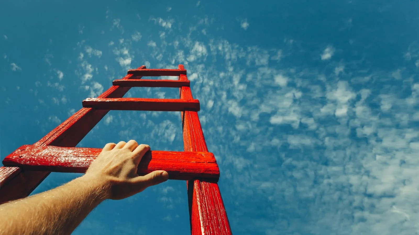 Reimagine Success with Online Bookkeepers