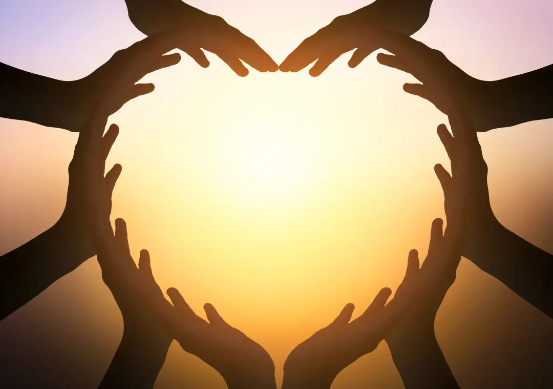 Why Online Accountant is Better for SR&ED Tax Solutions